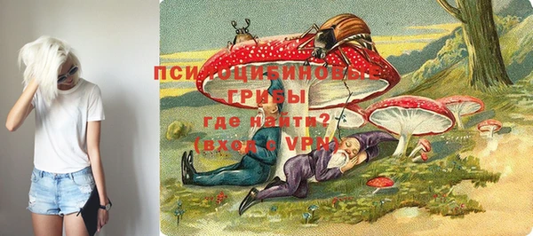 ALPHA PVP Алексин