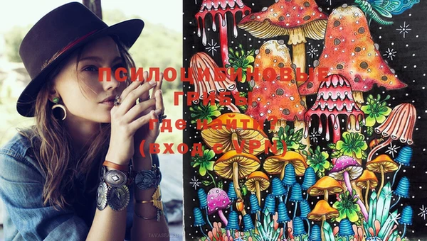 PSILOCYBIN Алексеевка