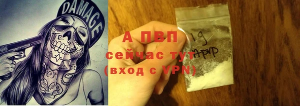ECSTASY Абаза
