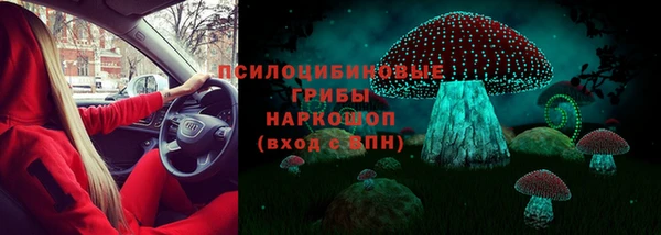 PSILOCYBIN Алексеевка